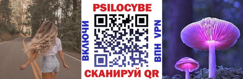 Купить где  Нерчинск  Псилоцибиновые грибы Cubensis 