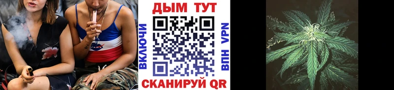 Купить где  Нерчинск  Марихуана сатива 